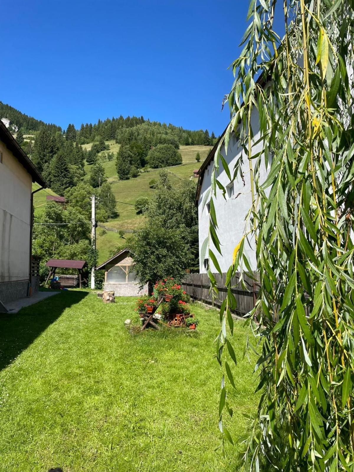 Casa Anastasia - Moieciu De Sus Moeciu De Sus Exterior foto
